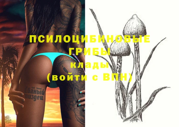 стаф Волоколамск