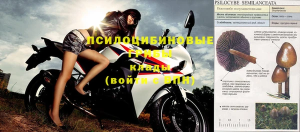прущие крисы Инсар