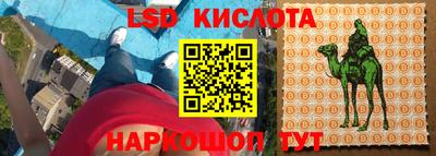 спиды Заводоуковск