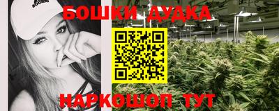 спиды Заводоуковск