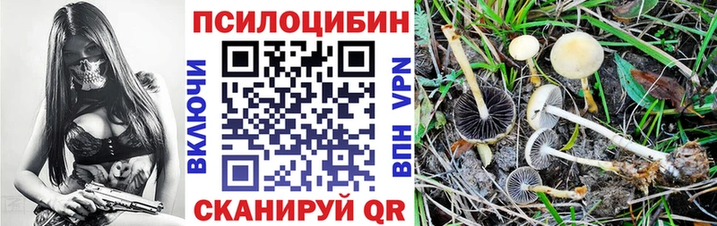 Галлюциногенные грибы мухоморы  купить наркоту  Зерноград 