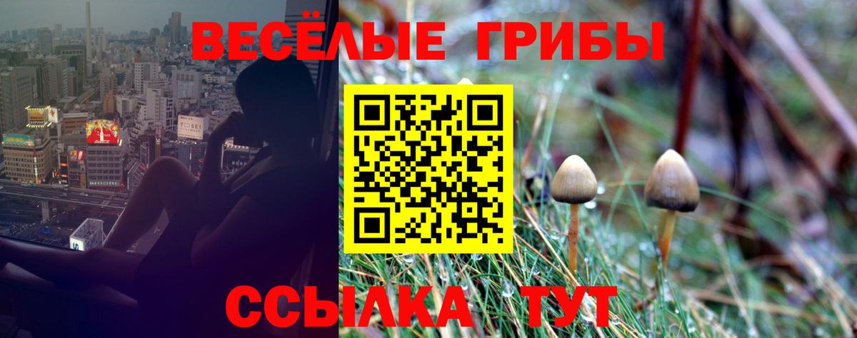 Галлюциногенные грибы Magic Shrooms Зерноград