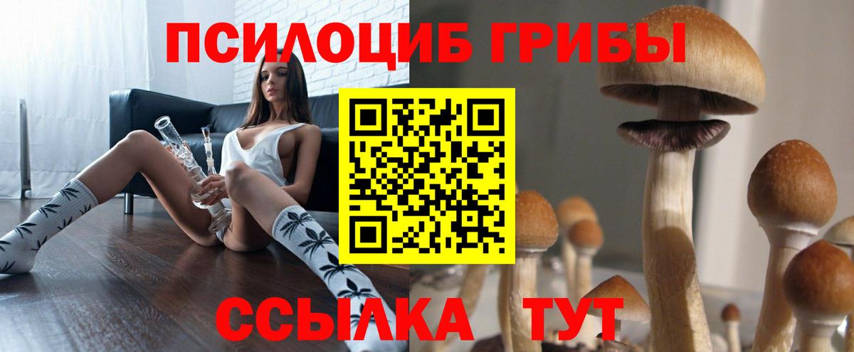 Зерноград  магазин    Вход с VPN  Псилоцибиновые грибы Cubensis  Псилоцибиновые грибы MAGIC MUSHROOMS 